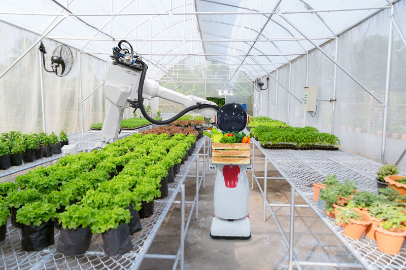 How IoT is Driving Sustainability Across Industries in 2025